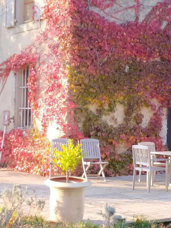 Apartmán Les Amis De Gaure Rouffiac-d'Aude Exteriér fotografie