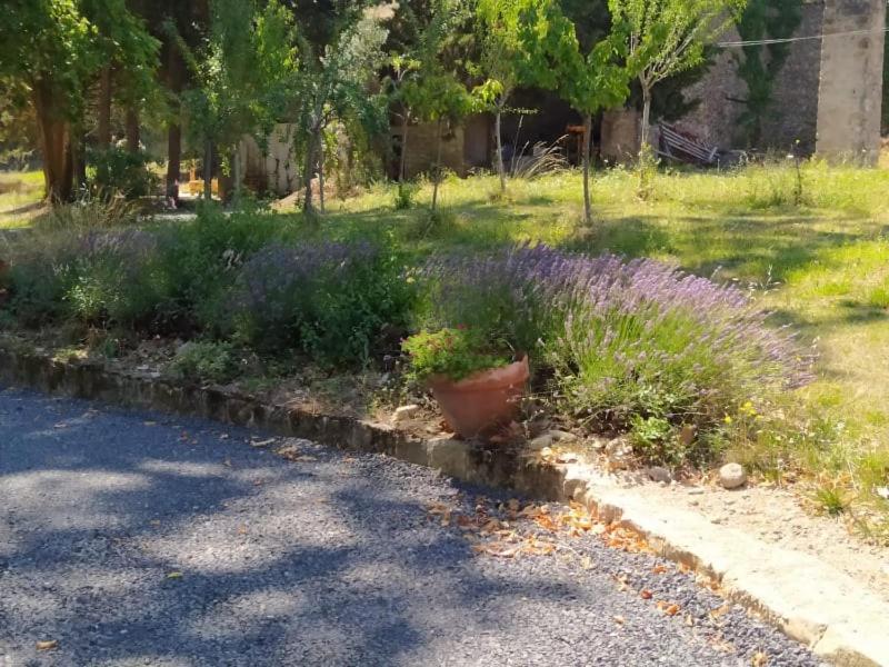 Apartmán Les Amis De Gaure Rouffiac-d'Aude Exteriér fotografie